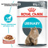 Вологий корм для дорослих котів ROYAL CANIN URINARY CARE 85 г x 12 шт